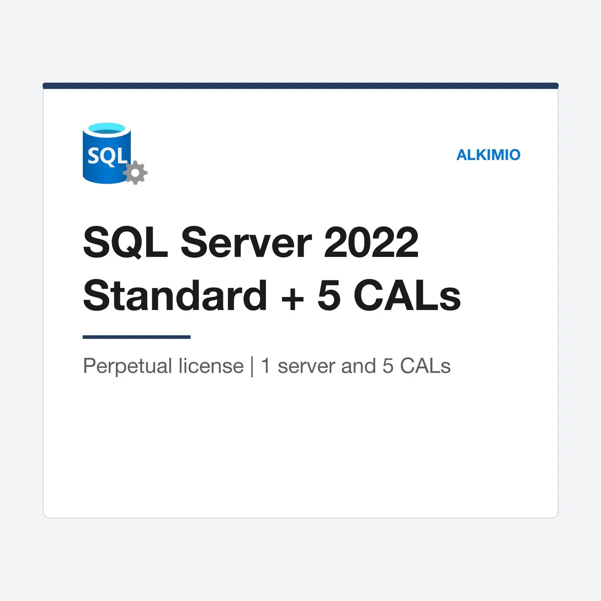 SQL Server 2022 Standard Server + 5 CALs license from Alkimio