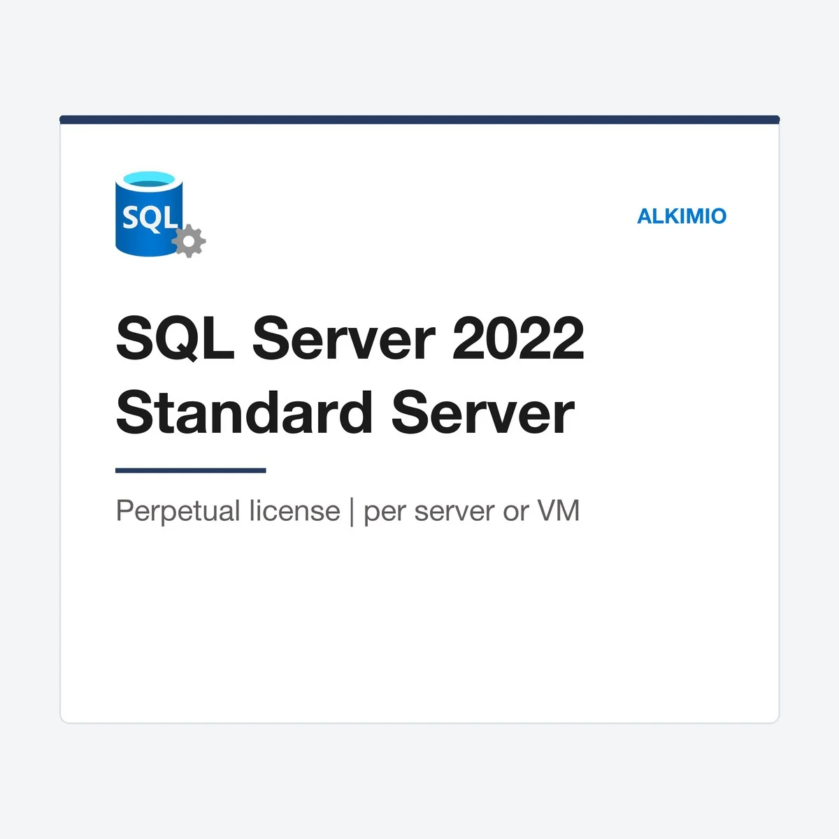 SQL Server 2022 Standard license (server) from Alkimio