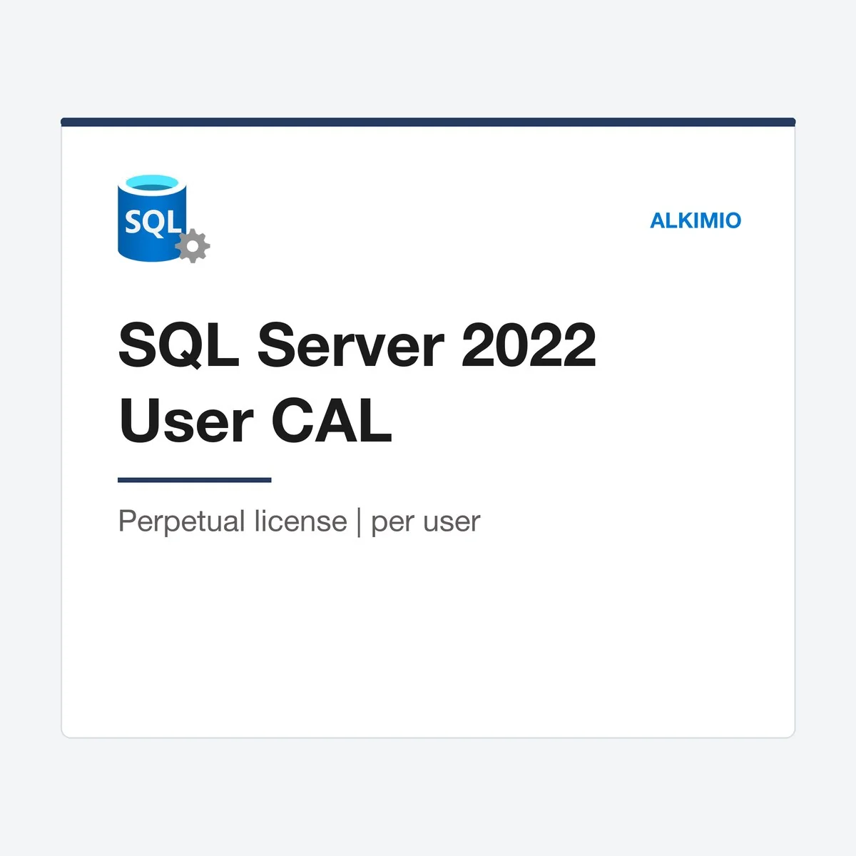 SQL Server 2022 User CAL (1 user) from Alkimio