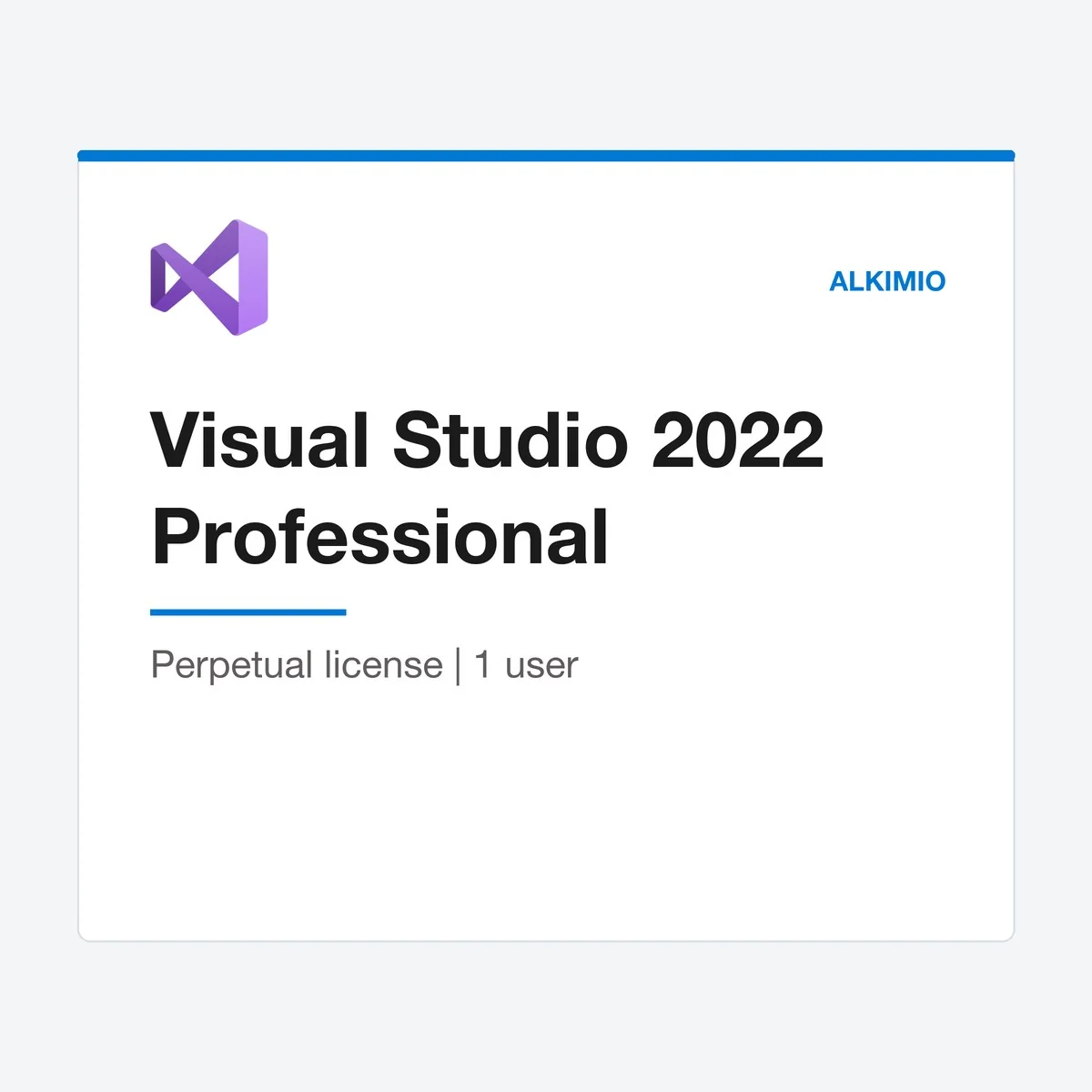 Visual Studio 2022 Professional license (1 user) from Alkimio